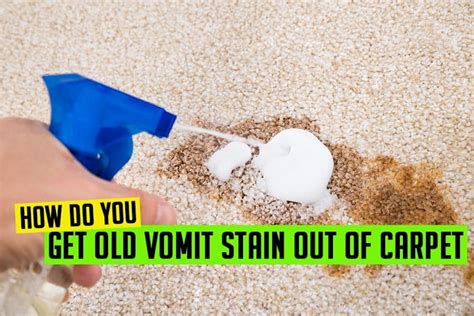 How to Remove the Vomit Smell from Carpet, Furniture, Car and Anything