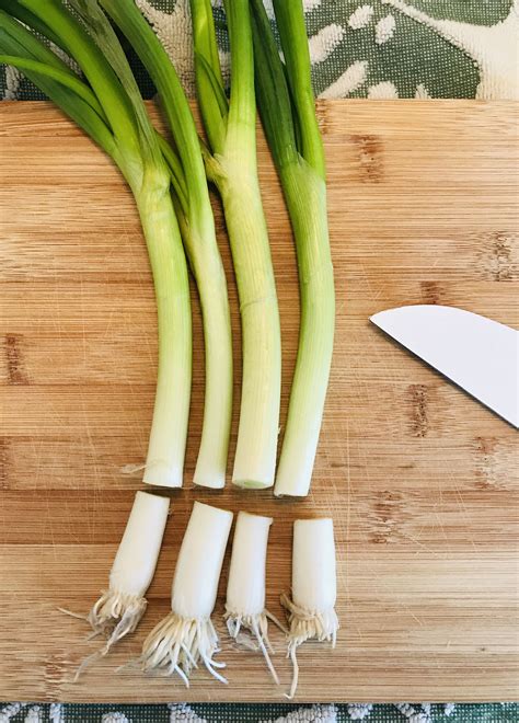 How To Grow Green Onions From Cuttings In A Week Green onions growing