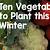 how to grow vegetables in the winter
