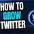 how to grow your twitter account reddit