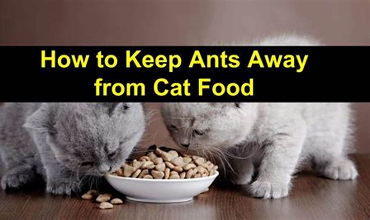 Uncover the Secrets to a Pest-Free Cat Food Zone: How to Keep Ants at Bay