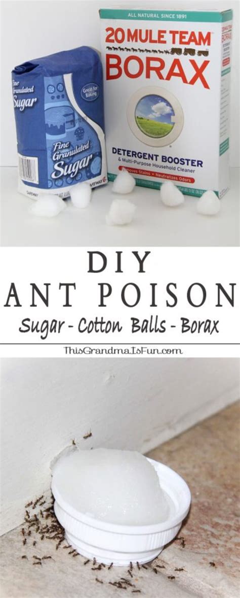 You can kill ants with a mixture of Borax, sugar, and water. It works
