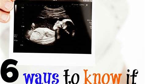 How To Know If I Am Pregnant Quiz Calculator Test CALCULATORUK HJW