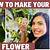 how to make a hoya bloom