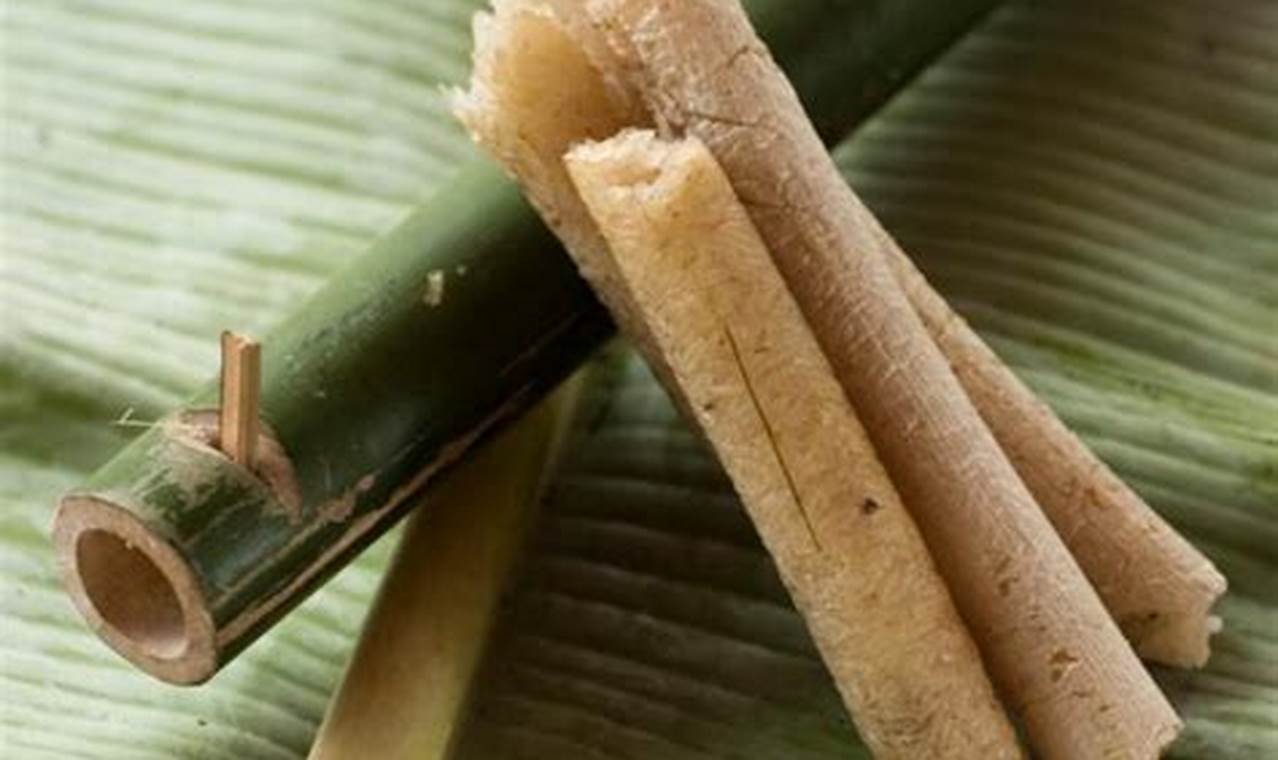 Panduan Lengkap Membuat Nasi Bambu yang Lezat dan Aromatik