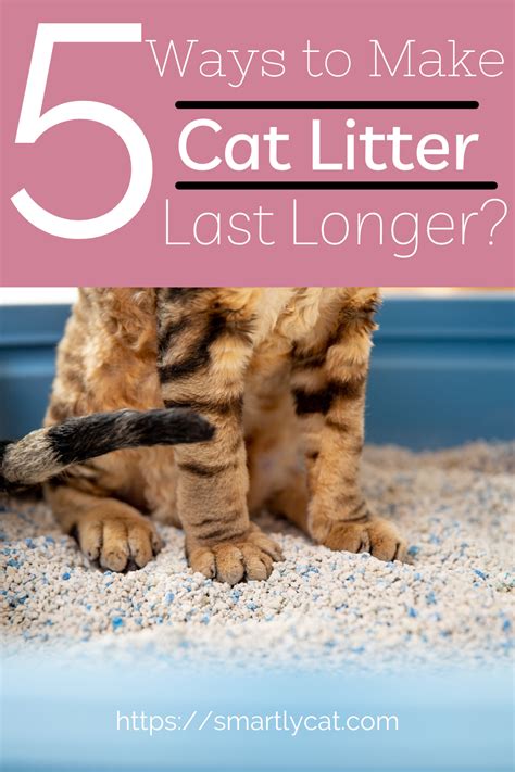 How To Make Cat Litter Last Longer