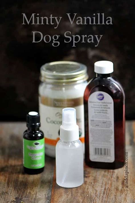 Homemade Dog Odor Spray Dog spray, Dog odor spray, Dog perfume