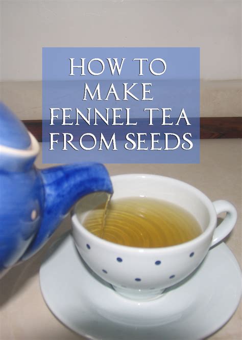 Fennel Tea Application and Effect Fennel tea, Fennel, Healthy teas