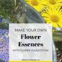 how to make flower essences without alcohol
