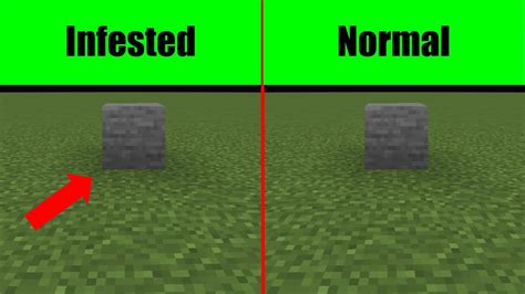How to make Infected stone bricks in Minecraft
