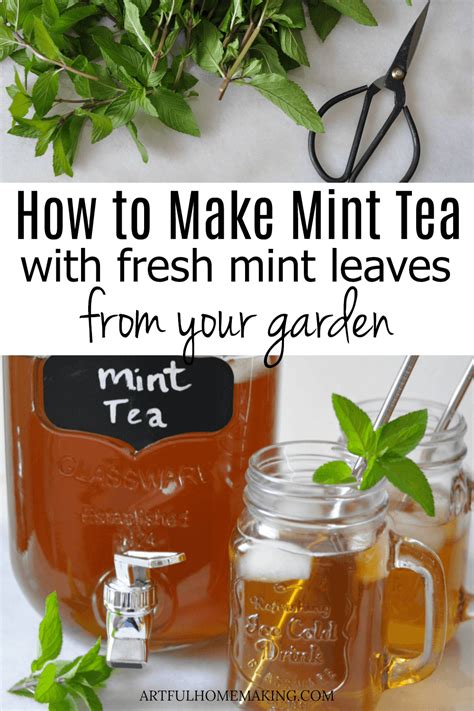 Fresh Mint Tea Recipe Mint tea recipe, Recipes, Tea recipes