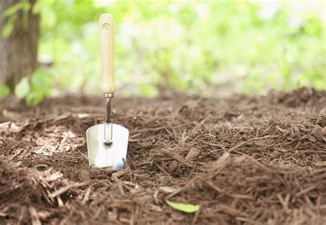 How To Make Mulch For Your Garden YouTube