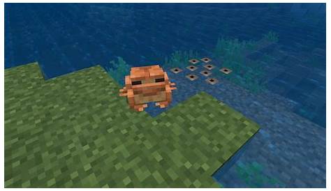 How To Make Tadpoles Grow Faster In Minecraft