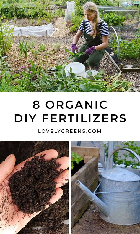 How to Make Your Own Garden Fertilizer Amazing Nature