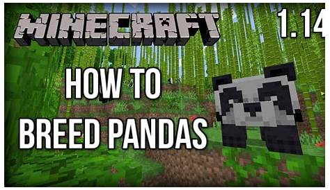 How To Mate Pandas In Minecraft