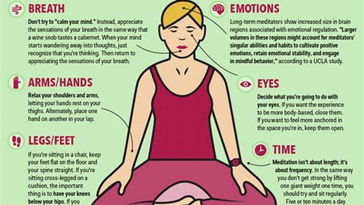 Meditative State of Mind: A Beginner's Guide to Meditation
