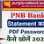 how to open pnb bank statement pdf password?