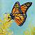 how to paint a monarch butterfly in acrylic