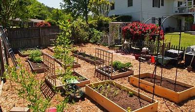 How To Plan A Backyard Garden