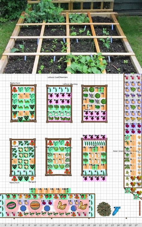 How to Plan a Vegetable Garden Design Your Best Garden