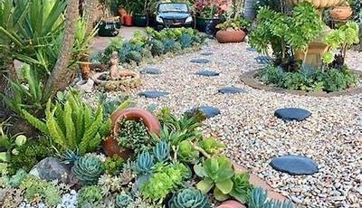 How To Plant A Succulent Garden In The Ground