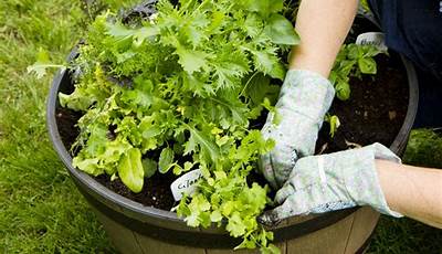 How To Plant A Vegetable Garden In Containers