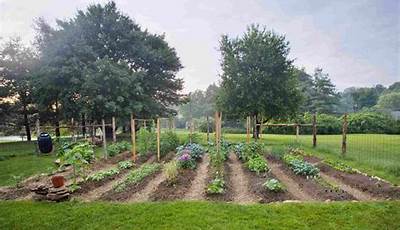 How To Plant A Vegetable Garden In The Ground