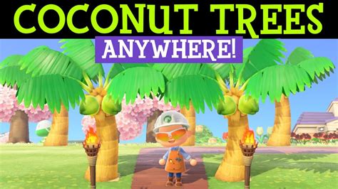 How To Plant A Coconut Tree In Animal Crossing