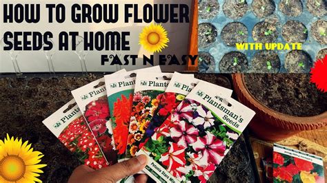 How to Grow Flowers from Seed (with Pictures) wikiHow