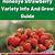 how to plant honeoye strawberries