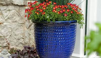 How To Plant Outdoor Plants In Pots