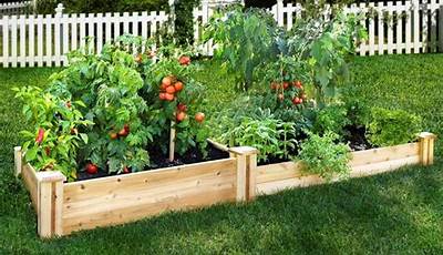 How To Plant Vegetables In A Raised Garden Bed