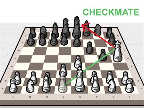 How To Play Chess Instructions howto