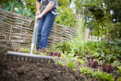 How to Prep Soil for a Vegetable Garden in 2021 Vegetable garden