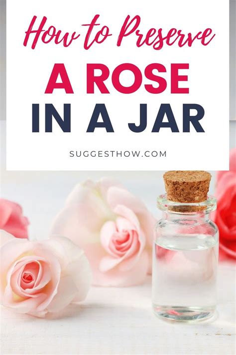 How To Preserve Roses With Wax Video Instructions The WHOot