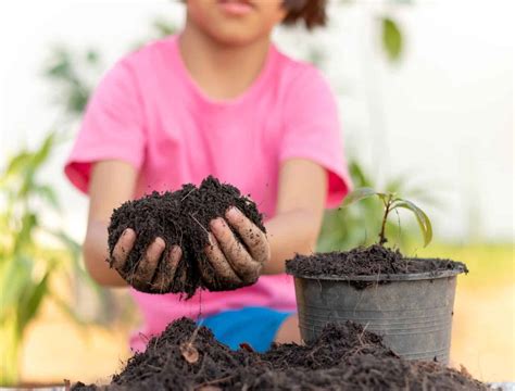 How to Store Potting Soil Over the Winter (Or Any Time of the Year