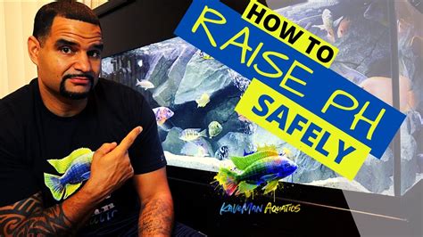 How to Raise Ph IN African Cichlid Tank? Our Aquariums