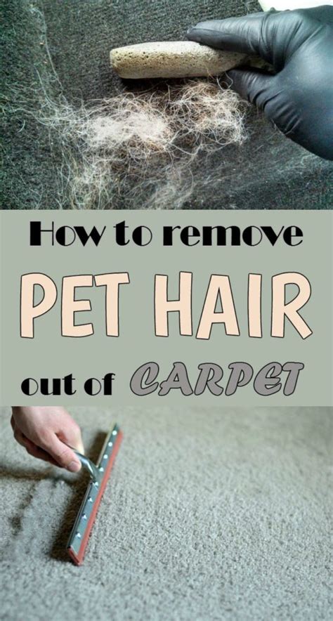 How To Remove Hair From Car Carpet