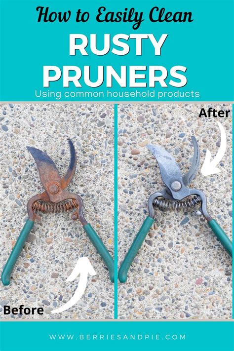 How to Easily Clean Rusty Pruners Berries and Pie