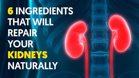 how to repair kidney damage from diabetes