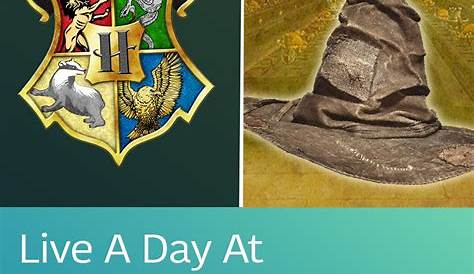 How To Retake Your Hogwarts House Quiz On Pottermore Harry Potter 100