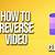 how to reverse a clip in avid