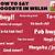how to say goodbye in welsh