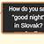 how to say goodnight in slovak