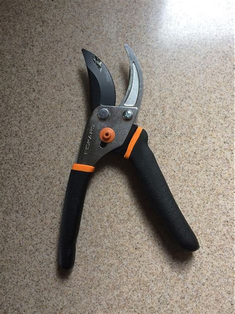 How to Sharpen Pruning Shears DIY Guide to Clean & Sharp at Home