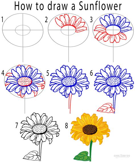 How to Draw A Sunflower? StepbyStep Tutorial flower 