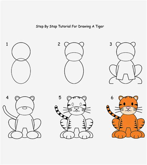 How to Draw a Tiger for Kids Easy printable step by step