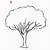 how to sketch a tree easy