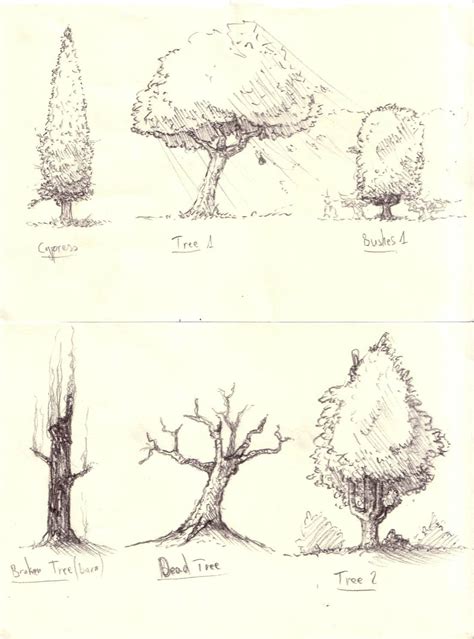 how to draw a realistic tree Dessin plante, Dessin