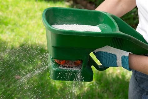 How to Efficiently Apply Fertilizer or Grass Seed in Your Lawn The